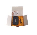 فشارسنج دیجیتالی سخنگو بریسک PG-800B16